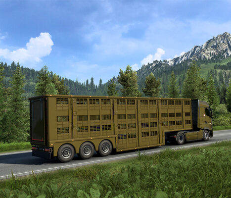 Livestock Truck
