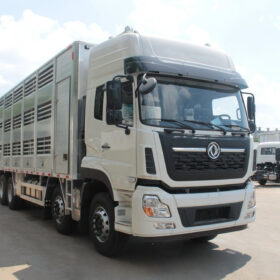 DONGFENG 10 Meter Livestock Truck