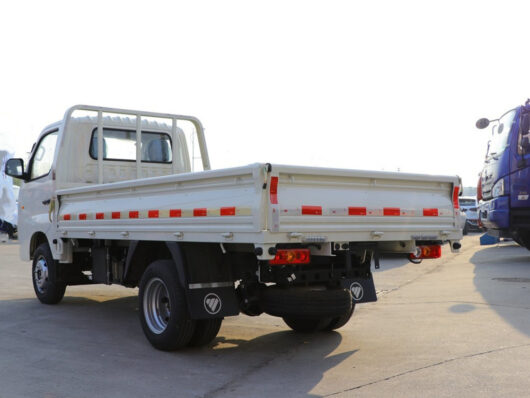 Foton 1 Ton Dump Truck left Back