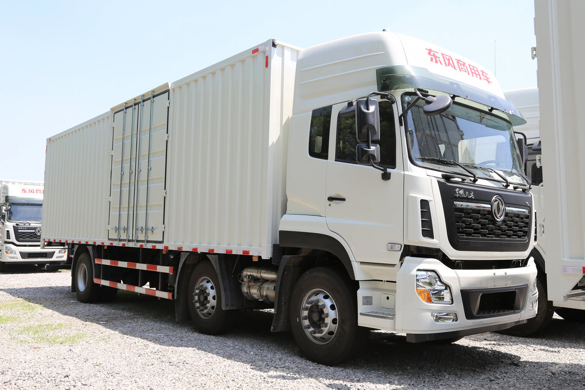 Cargo Truck